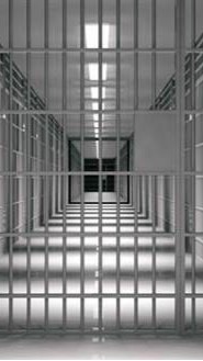 發洩&捉捕通緝犯