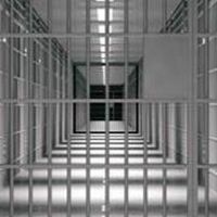 發洩&捉捕通緝犯