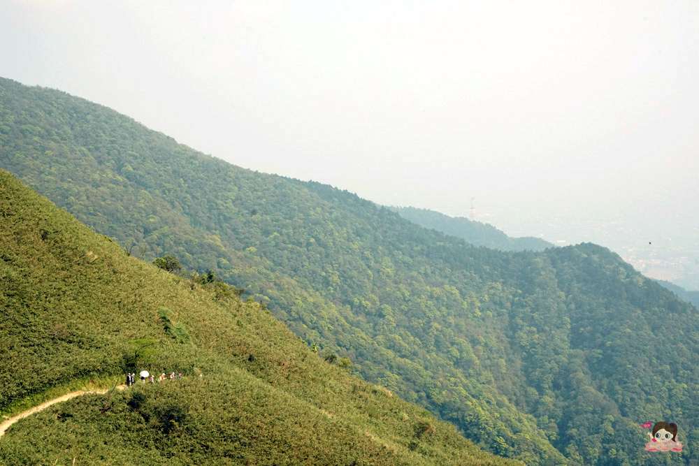 宜蘭.礁溪 臺灣的抹茶冰淇淋山，網美級小百岳仙境，挑戰聖母山莊步道，順收五峰旗瀑布