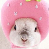 ลูกค้าร้านblossombunniesน่ารักทูกคน