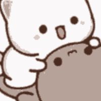 貓世界貓咖啡廳