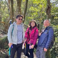 吉貓旅行團