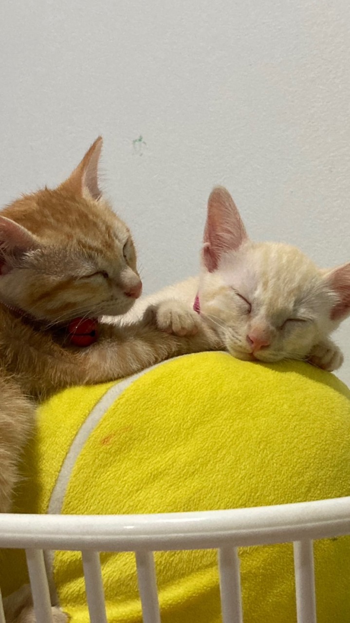 น้องน้ำใจ และน้องเมตตา