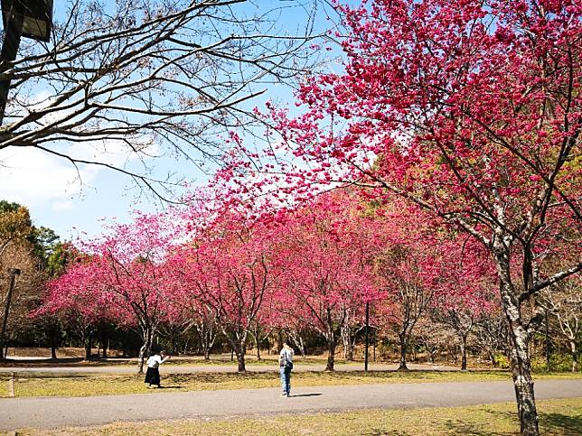 圖片來源：雄獅旅遊