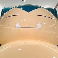八八小影連線中