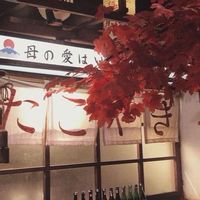 มหาวิทยาลัยจันทร์วิมล  |  jujutsu Kaisen roleplay
