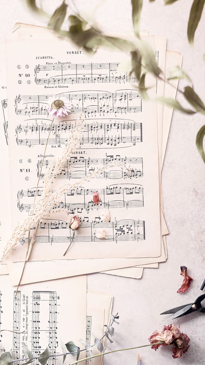 吉他練習曲🎶🎵音樂&生活