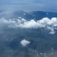 台中好市多佛系代購！