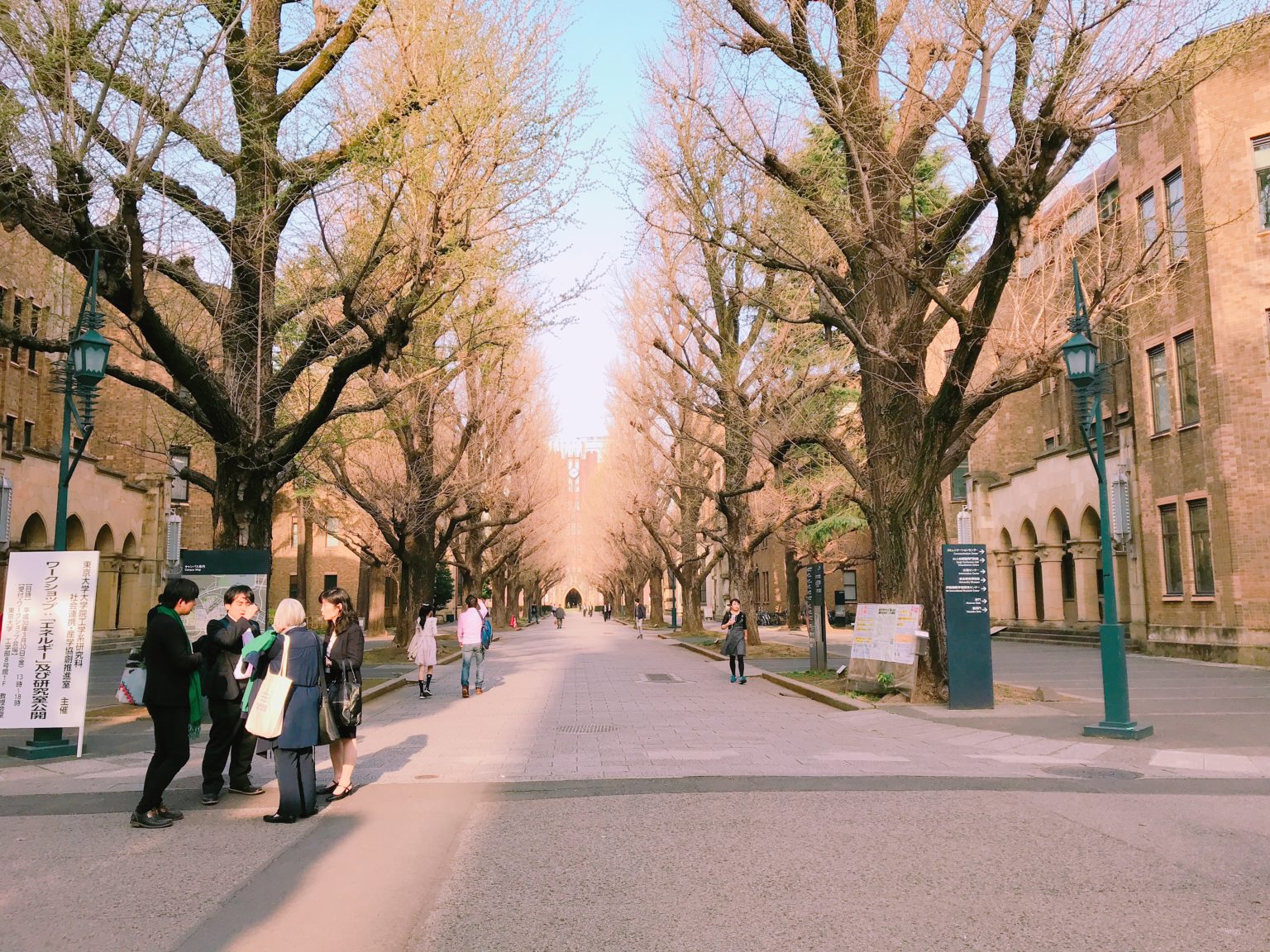 校園、墓園才是東京人賞櫻秘境？上野公園周遭三大櫻花祭熱點