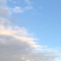 喵喵俱樂部