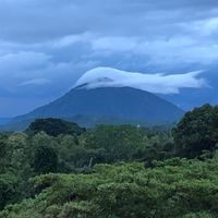 海外移住