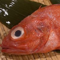 寿司屋の昴ん！