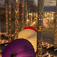 熊本で飲みたい🍻