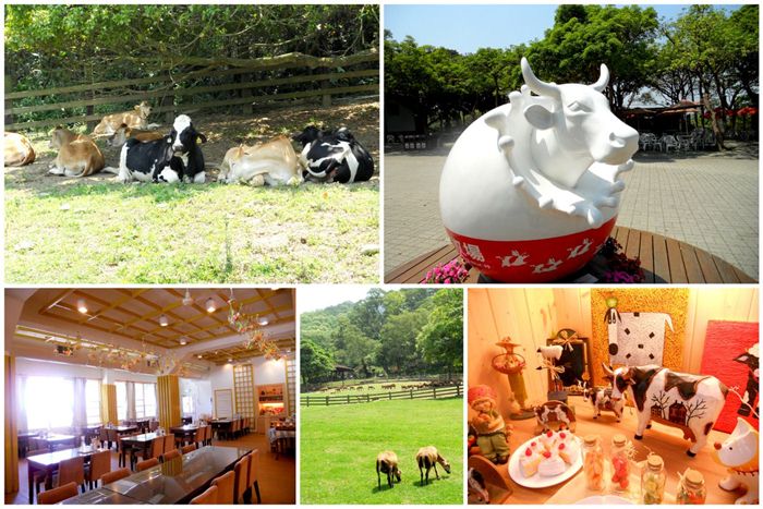 【苗栗】飛牛牧場-單人入園全票+飛牛白布丁壹組