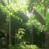 校舎裏で待ってます♡学パロ全緩也