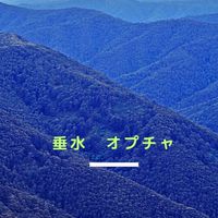 鹿児島　垂水市ネットワーク