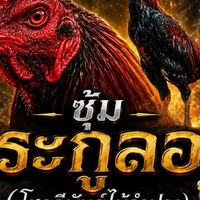 ตระกูลออ ลำปาง