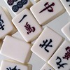 立川健麻大会