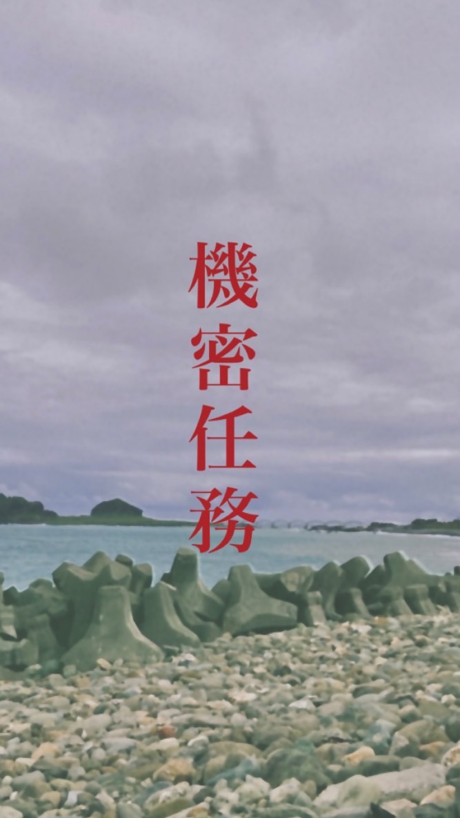 台東成功/東河【機密任務】臨時演員區