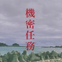 台東成功/東河【機密任務】臨時演員區