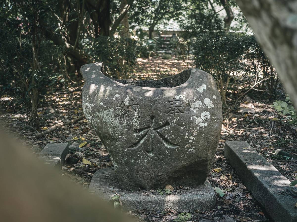別只去故宮！士林６處「隱藏版景點」快衝：外雙溪祕境、IG暴紅「水中步道」