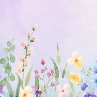花開半夏/管理群
