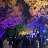 北大1年生2026(新歓・履修登録・奨学金・留学・就活など)
