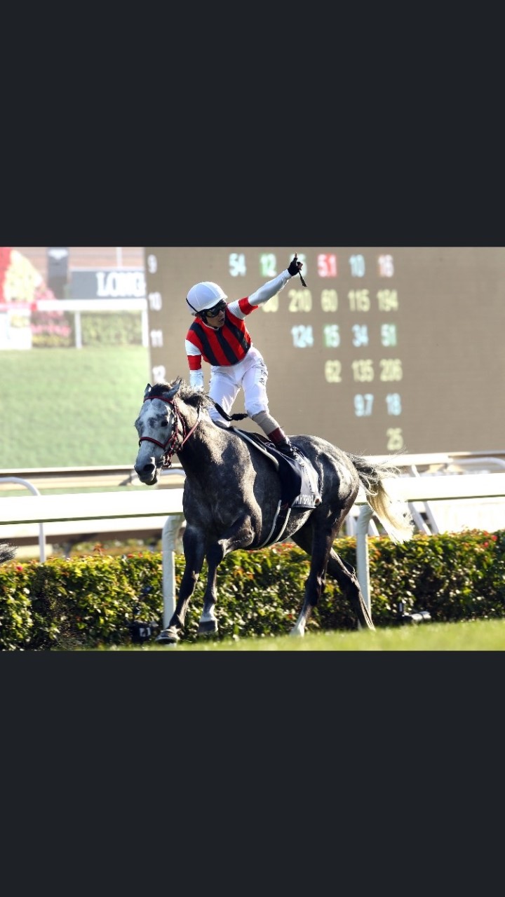 即パット解禁！1日競馬のオープンチャット