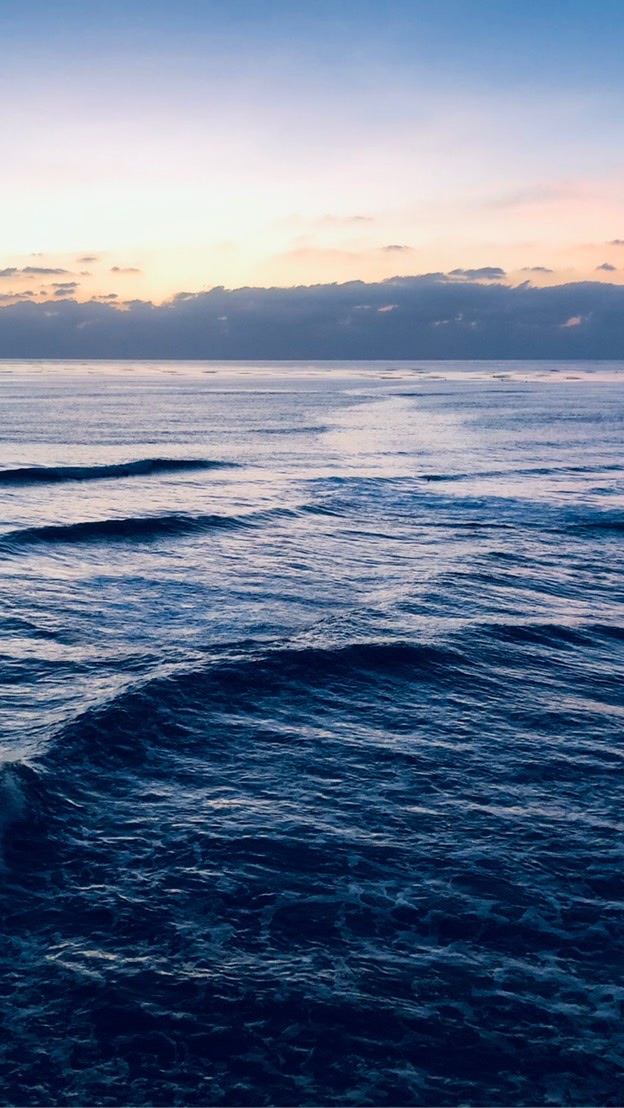 夢幻花園愛吃火鍋
