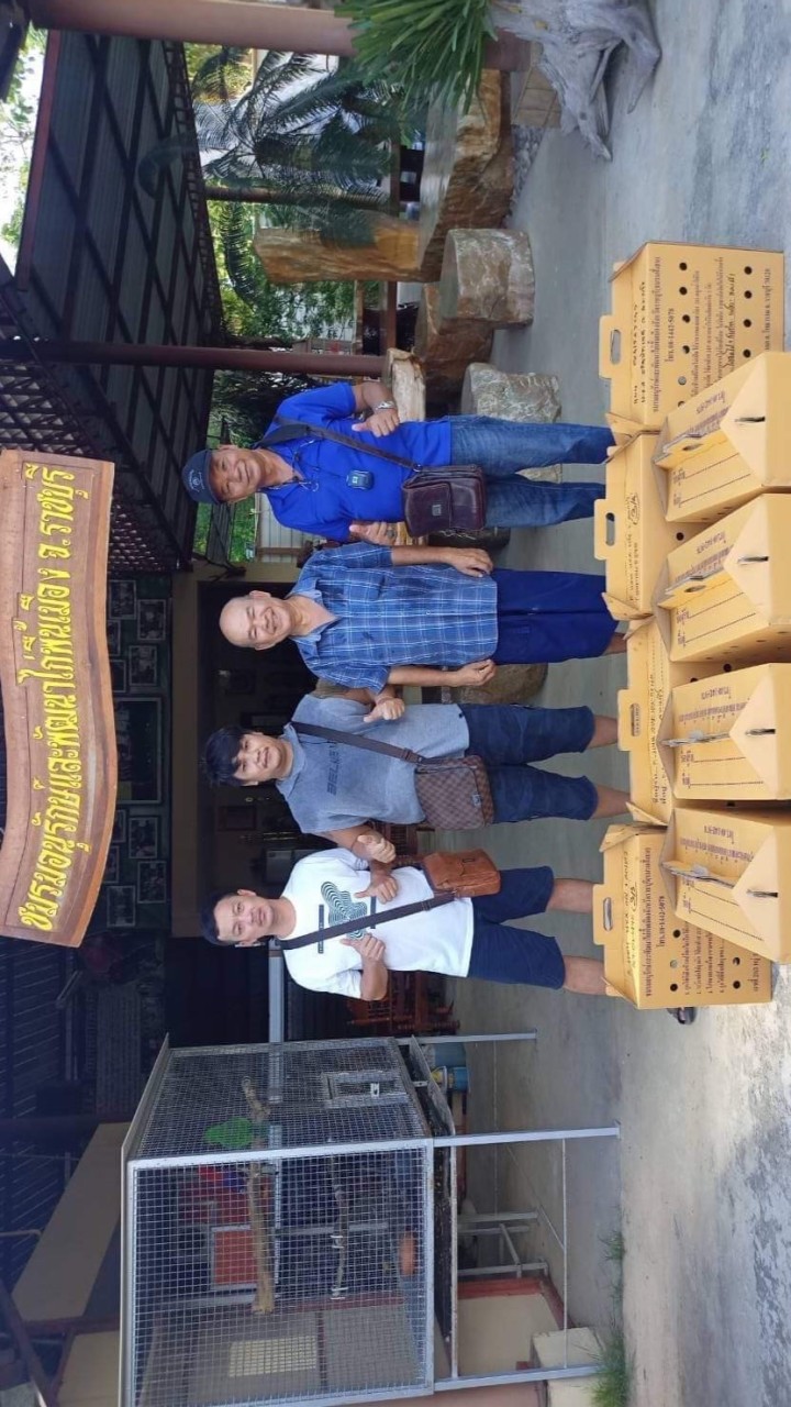 ซุ้ม ป.พนิดา แหล่งรวมพันธุกรรมไก่ชนเงินล้าน