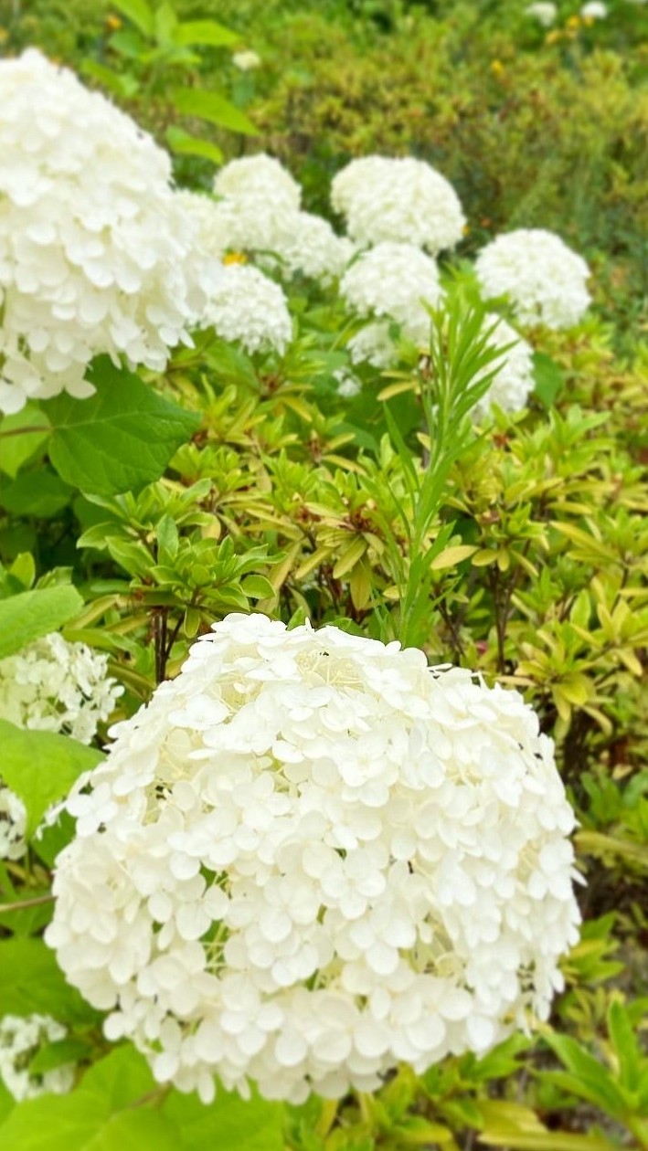 ネイル好きのゆる休憩室