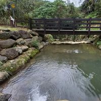 健康資訊/保健品販售/養生方式交流