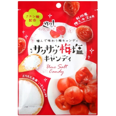 日本原裝進口 獨特梅子搭配點鹽風味 酸酸甜甜的雙重口感 輕巧小包裝，可隨時來一口