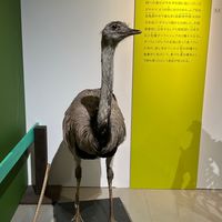 ディバ誤鯖爆散しがちTwitter民