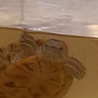ෆ放鬆壓力群ෆ