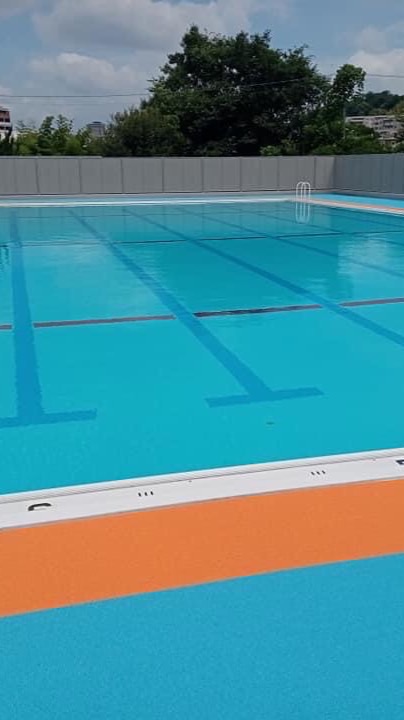 輸送（帰宅）難民サポートボランティア