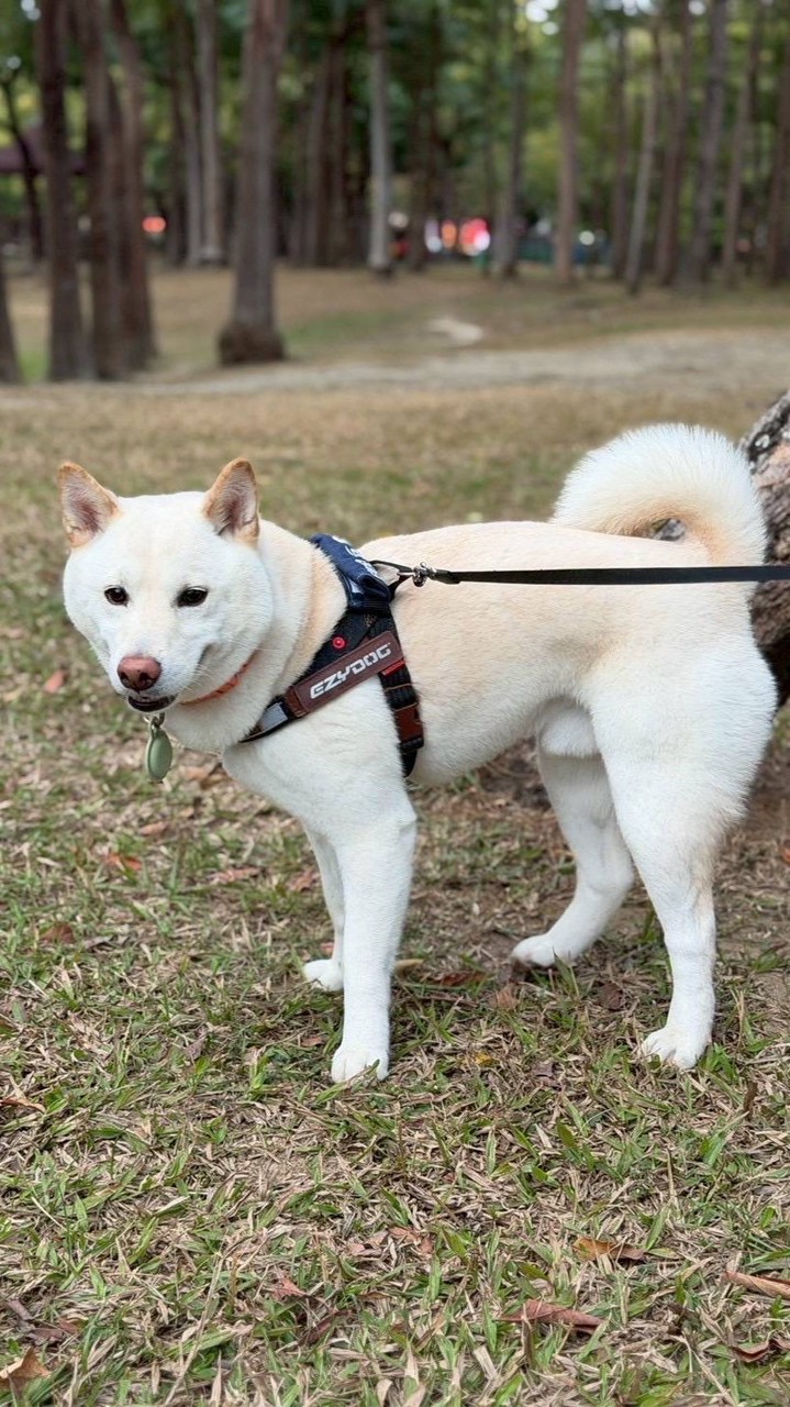 中風復健我們一起走