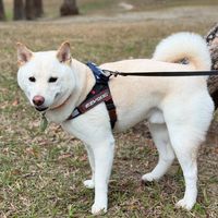 我們搬家到群組囉