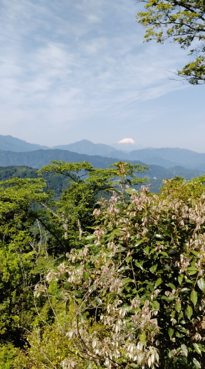 高尾山　超初心者