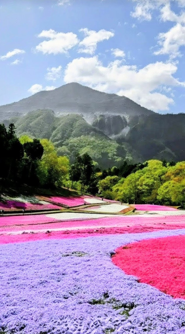 50代からの里山歩き、ゆる山のんびりハイキング