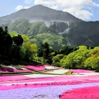 50代からの里山歩き、ゆる山のんびりハイキング