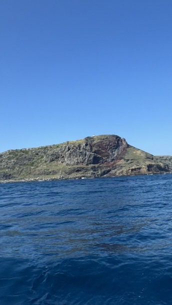 後半夜生魚片專賣店