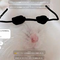 純白の天使ラフレシア被害者の会