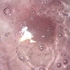 生活音room