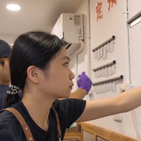 115-冒煙小雞