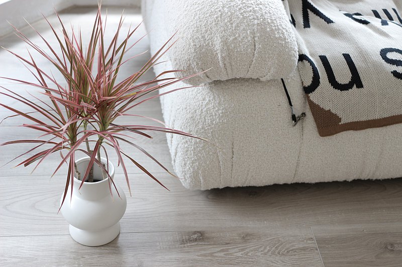 水培植栽│五彩千年木_室內植物 辦公室盆栽 空間布置