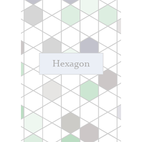 ヘキサゴン アッシュカラー