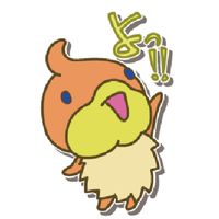 せふぃとも インターン・ボランティア・実習生
