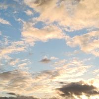 空氣戒斷嘗試（回歸真實、忠於真實、幫助真實）