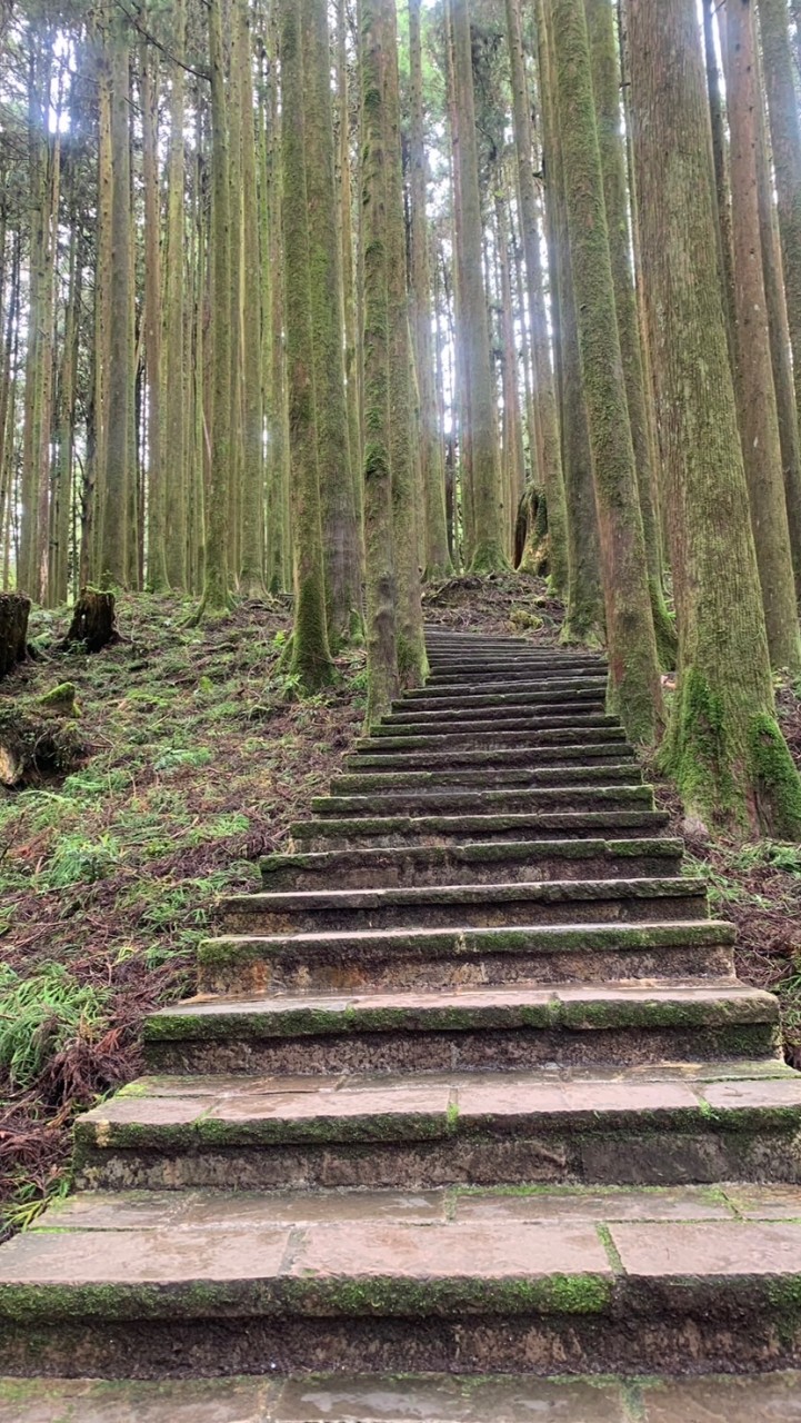 中南部找山友揪團登山健走旅行去